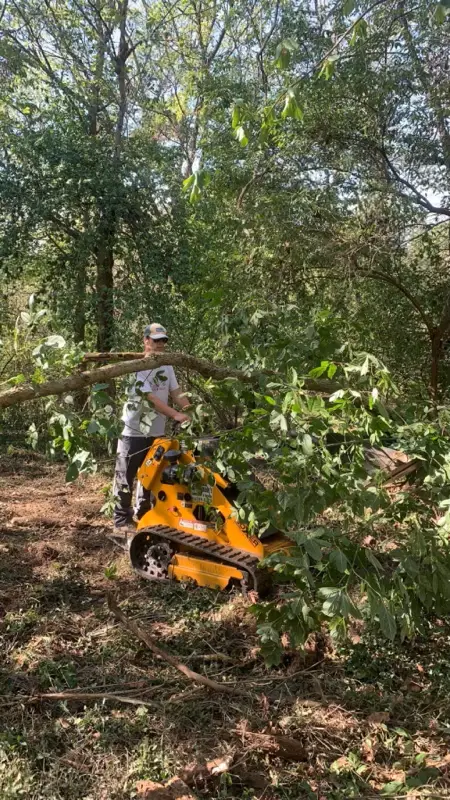 Land Clearing